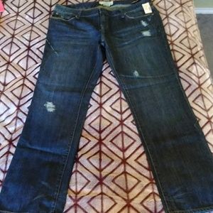 NWT Distressed Jeans,  Size 15/16
